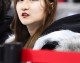 京城冬日的一抹暖色：五棵松美女球迷点燃赛场激情