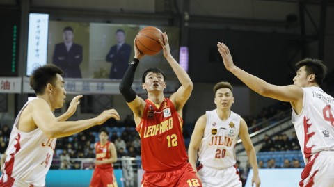 东北虎主场饮恨吞八连败 深圳烈豹客场凯歌奏